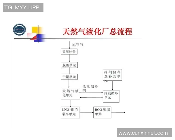 独家深度解析液化天然气技术的优势与挑战对比分析