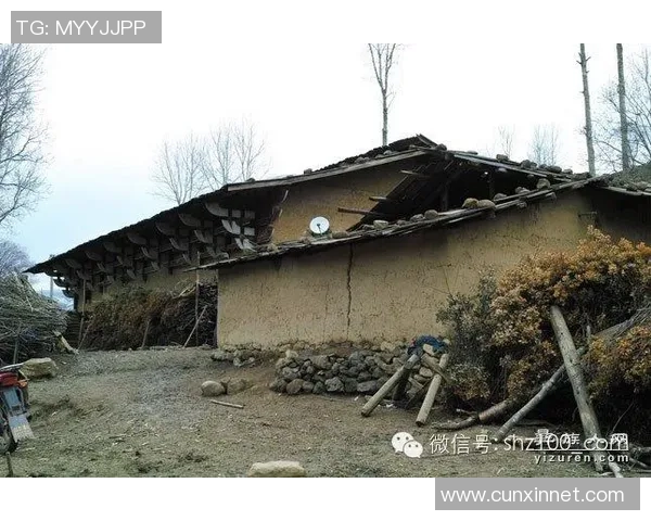 足球岛丛林火灾引发生态危机与人道救援行动的紧急呼吁 足球岛丛林火灾引发生态危机与人道救援行动的紧急呼吁