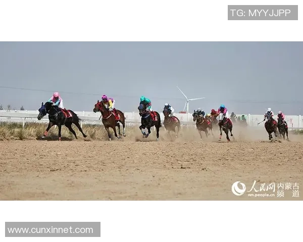 黑羚羊足球：探索草原上的激情与梦想，追逐绿茵场上的辉煌与荣耀