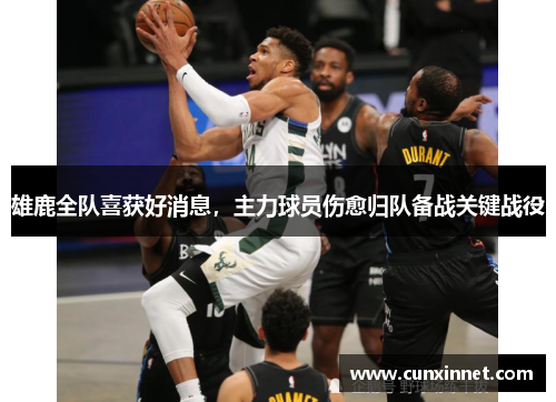 雄鹿全队喜获好消息，主力球员伤愈归队备战关键战役