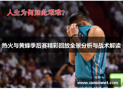 热火与黄蜂季后赛精彩回放全景分析与战术解读