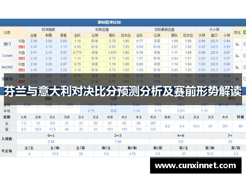 芬兰与意大利对决比分预测分析及赛前形势解读